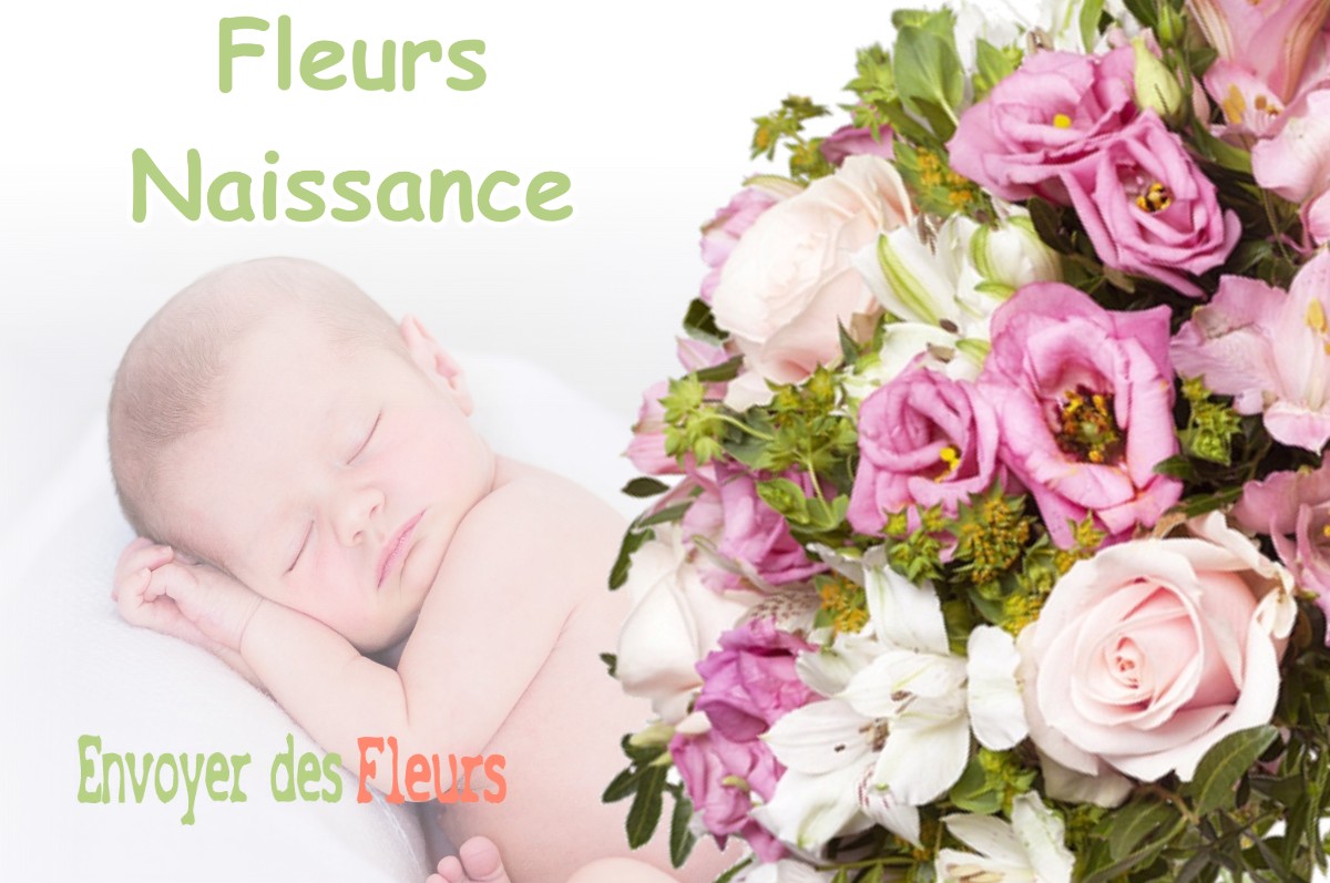 lIVRAISON FLEURS NAISSANCE à SABRES